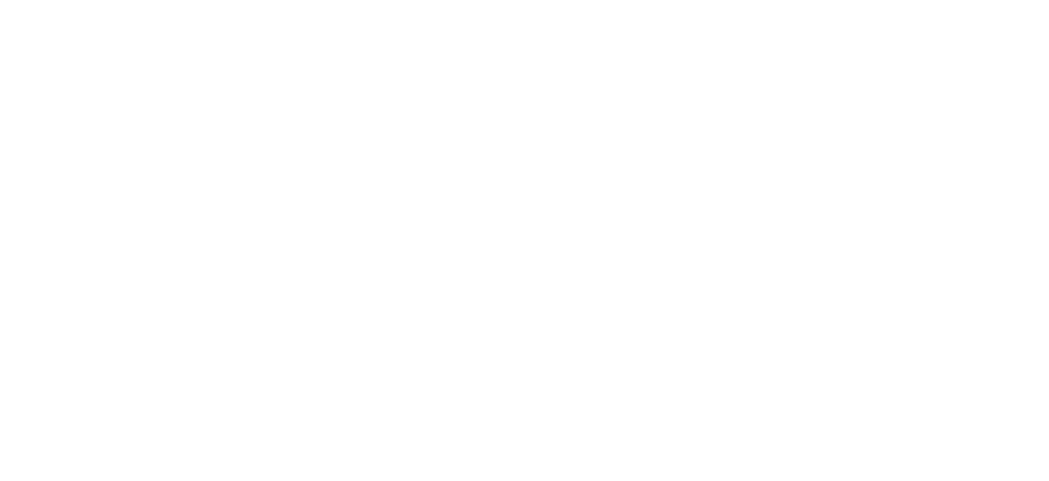 Sumo Digital